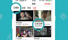 可以看片和直播的app,盘点热门看片与直播APP