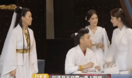 吃瓜爆料杨紫唐嫣,娱乐圈的瓜田奇遇记