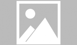 小蝌蚪视频,一场奇妙的蜕变之旅