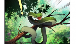 蛇动漫,探寻神秘动漫世界的奇幻之旅